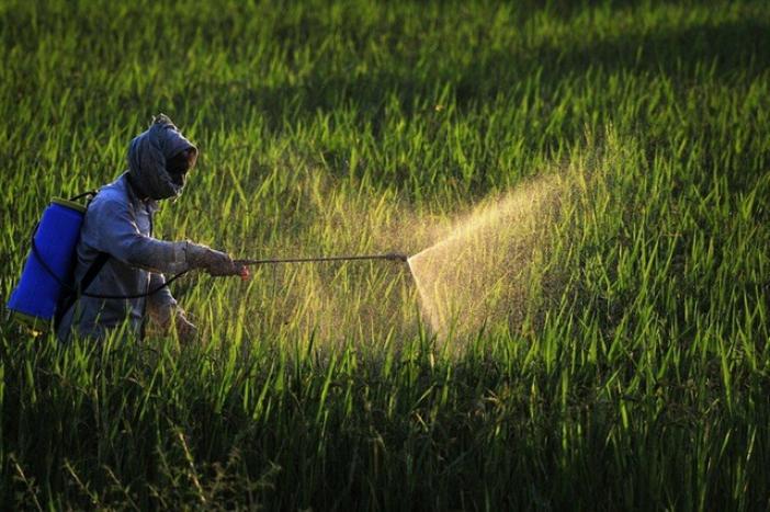 Les pesticides : un risque peu connu des agriculteurs