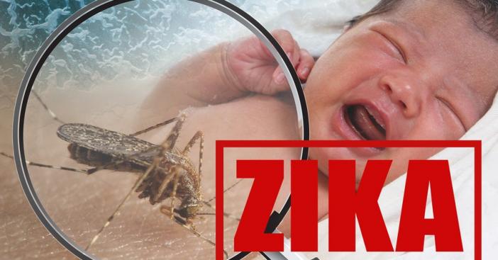 Zika Le virus peut persister dans le sperme six mois apres l-infection