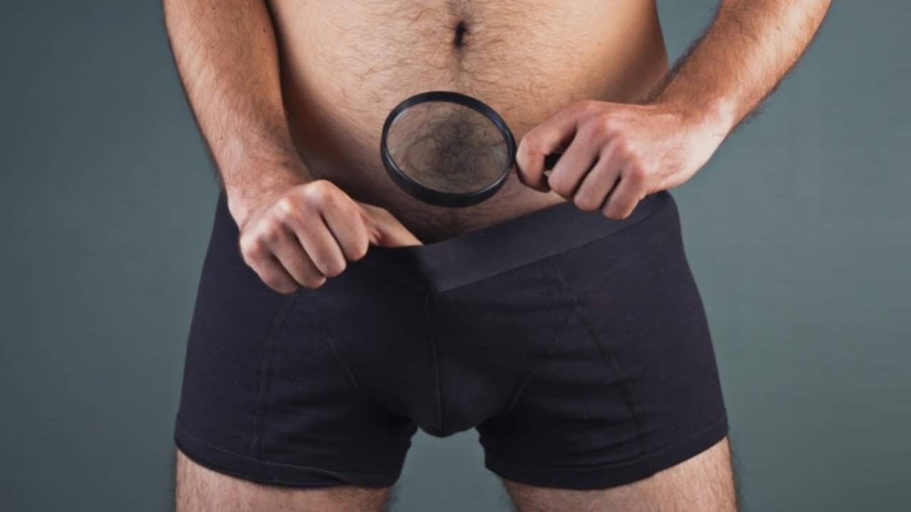 pourquoi l’homme n’a plus d’os pénien