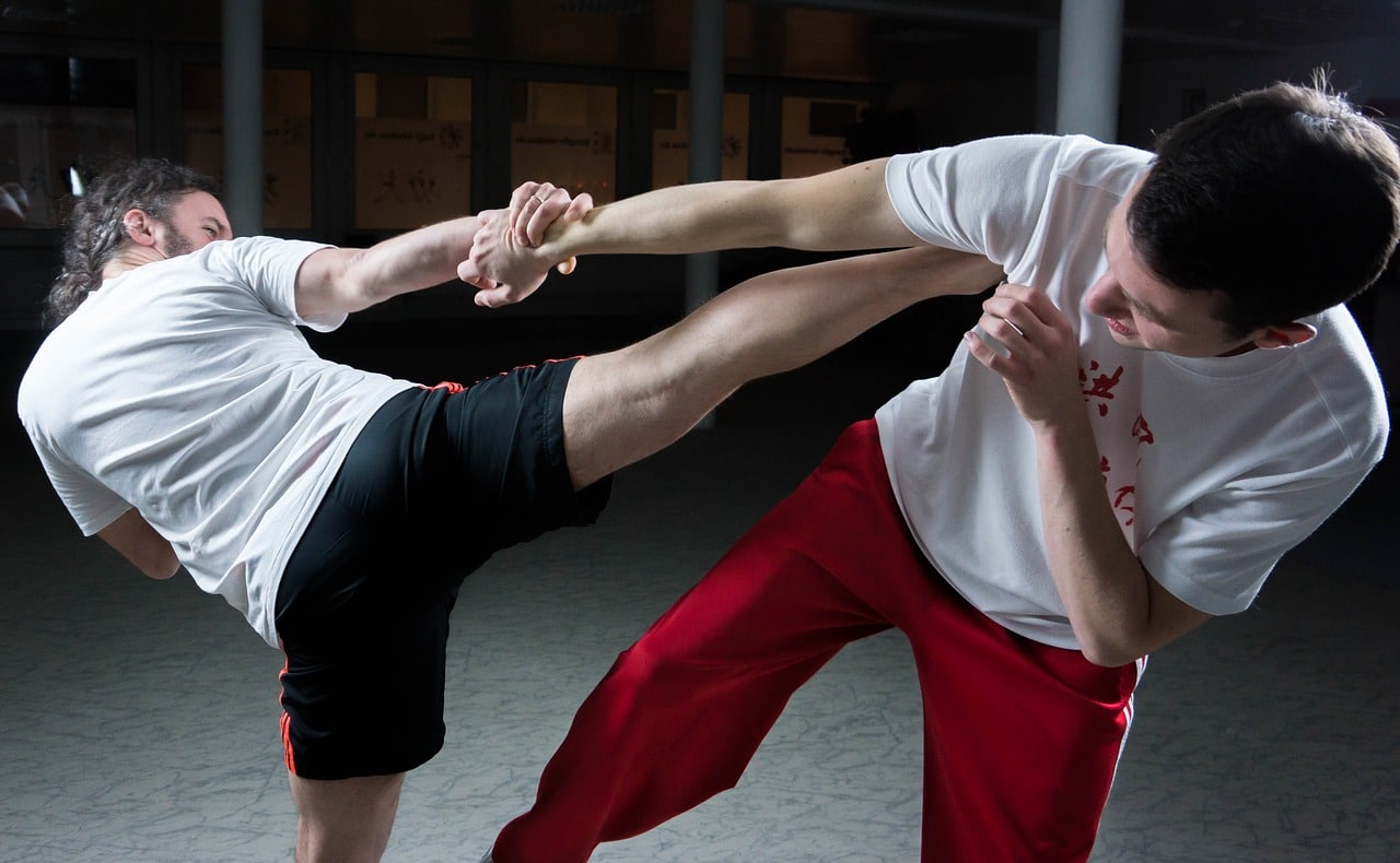 L’histoire du Kung Fu, ses caractéristiques, objectifs et sous-styles