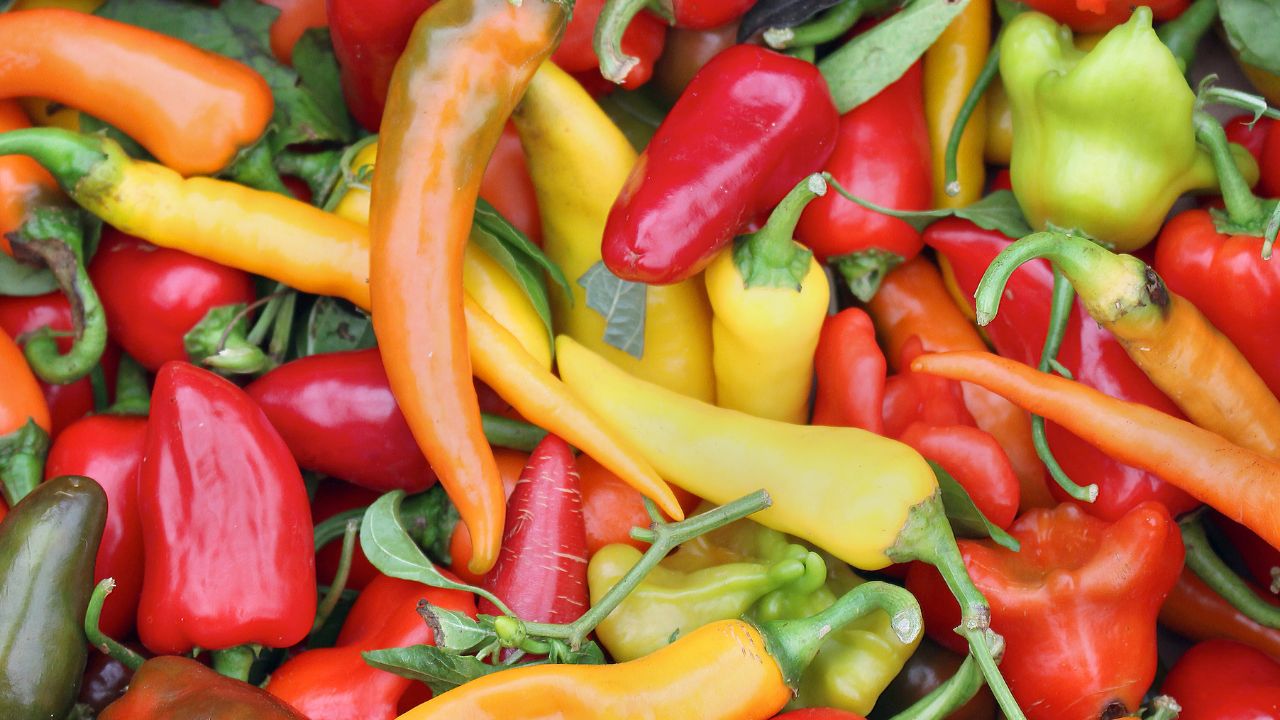 Quel est le piment le plus fort du monde
