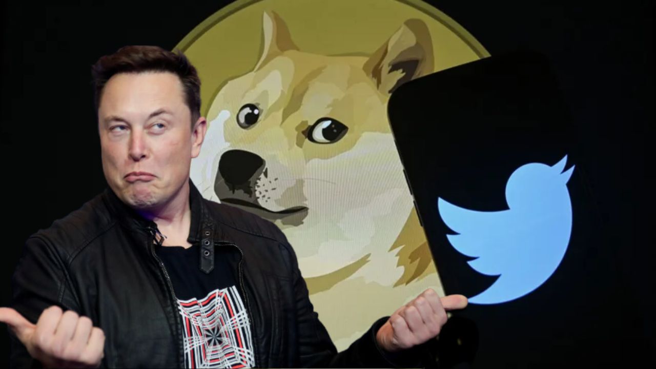 elon musk logo twitter chien (2)