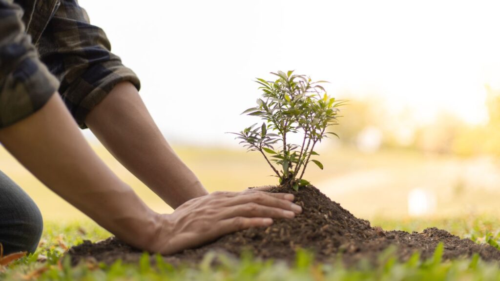 plantes douleur sentiments (2)