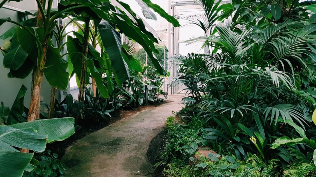 plantes douleur sentiments (2)
