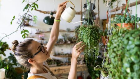 quand arroser plantes (3)