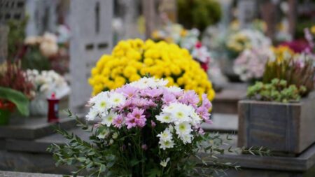 Enterrement : quelles fleurs autres que les chrysanthèmes choisir ?