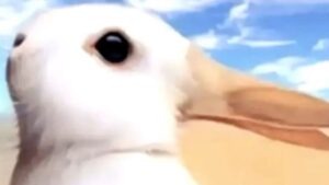 illusion optique canard lapin (1)
