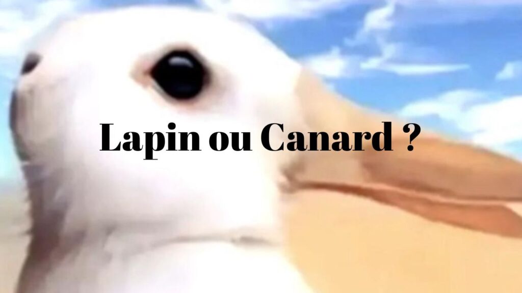 illusion optique canard lapin (1)