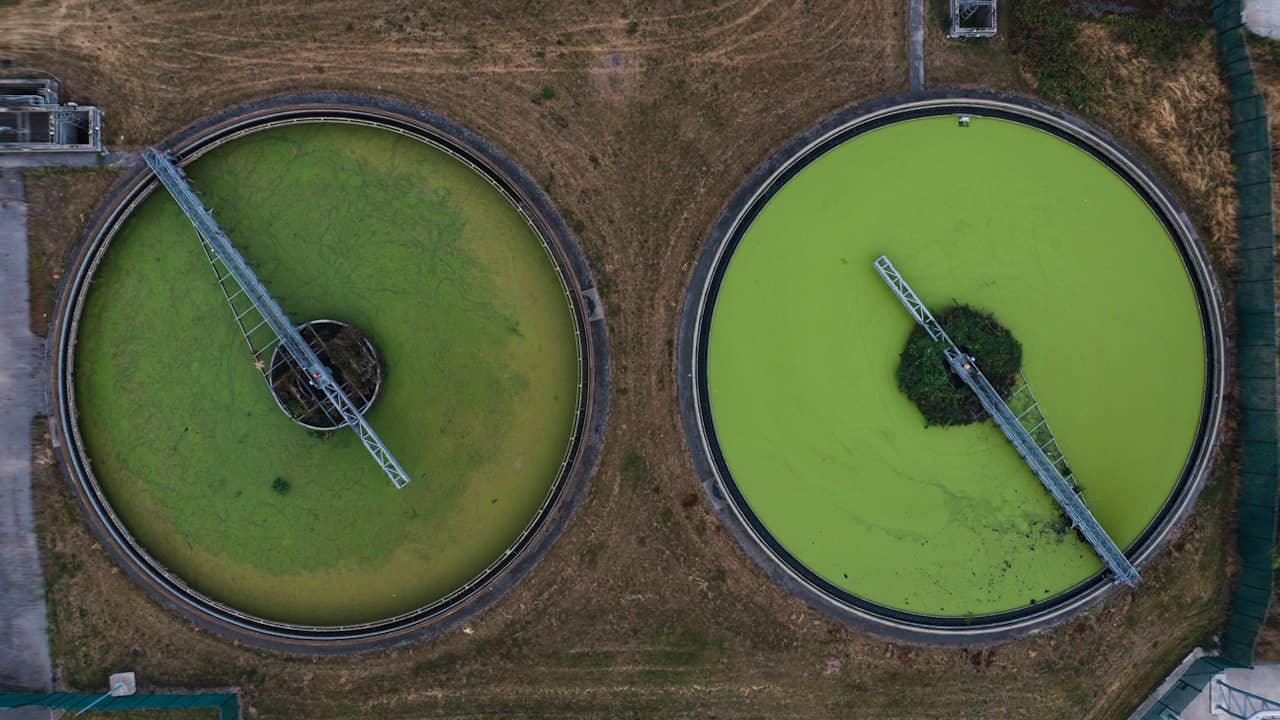Fosse à lisier pour bassin agricole : les dangers à ne pas ignorer
