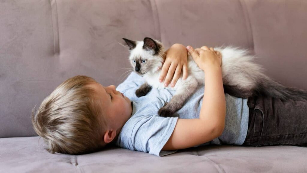 chat-et-bébé-amusant (1)