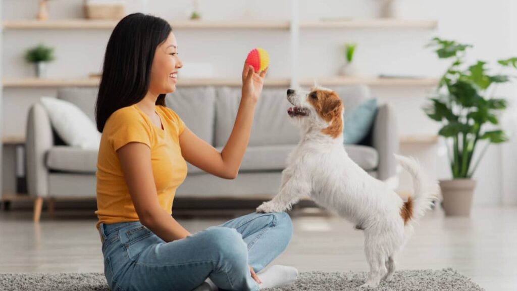 Éducation canine : 10 règles à connaitre pour bien éduquer votre chien