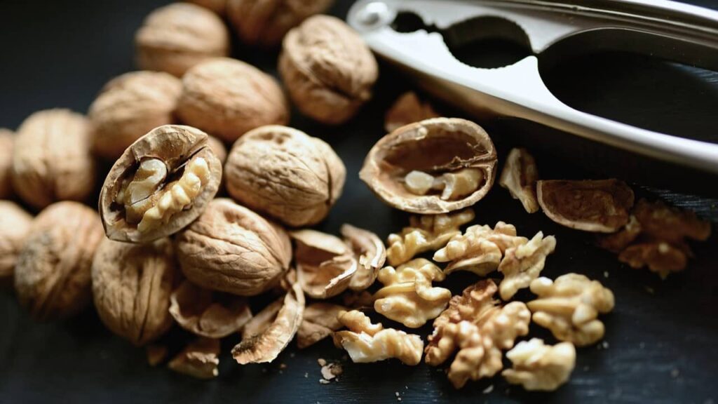 noix-noisettes-alimentation-et-intelligence (1)