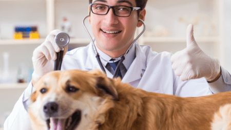 Quelles sont les avancées médicales vétérinaires marquantes en 2023 ?