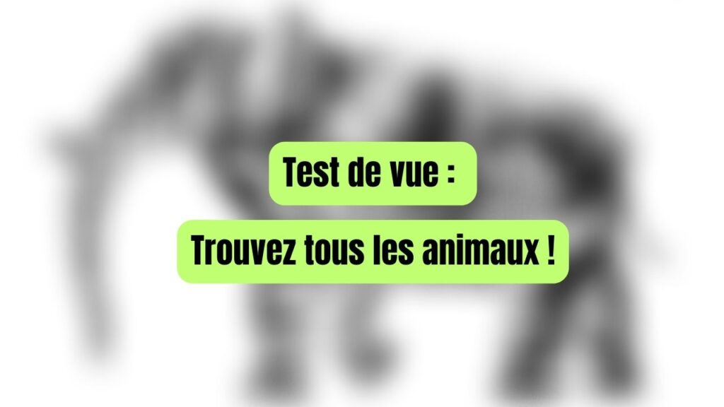 Test de vue (1)