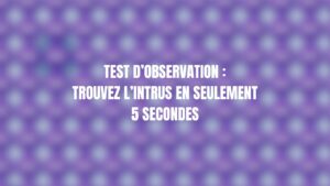 test observation intrus 88 83 (1)