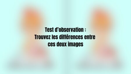 test observation vue differences (2)