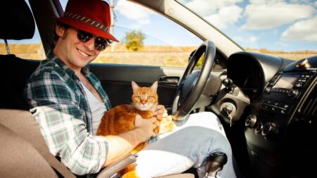 voyager-avec-son-chat-sans-stress (1)