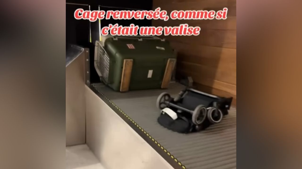 cage animal aéroport paris