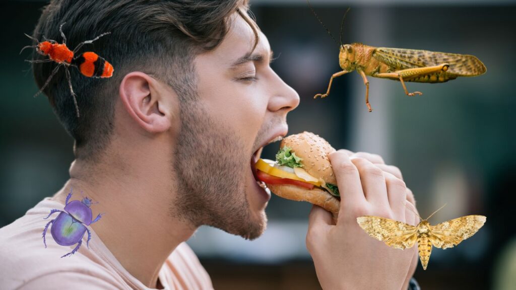 avaler manger insectes