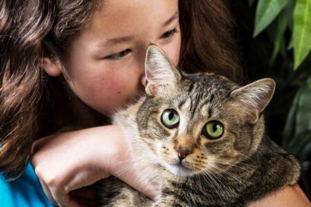 Une fille réponds aux besoins de câlins de son chat.