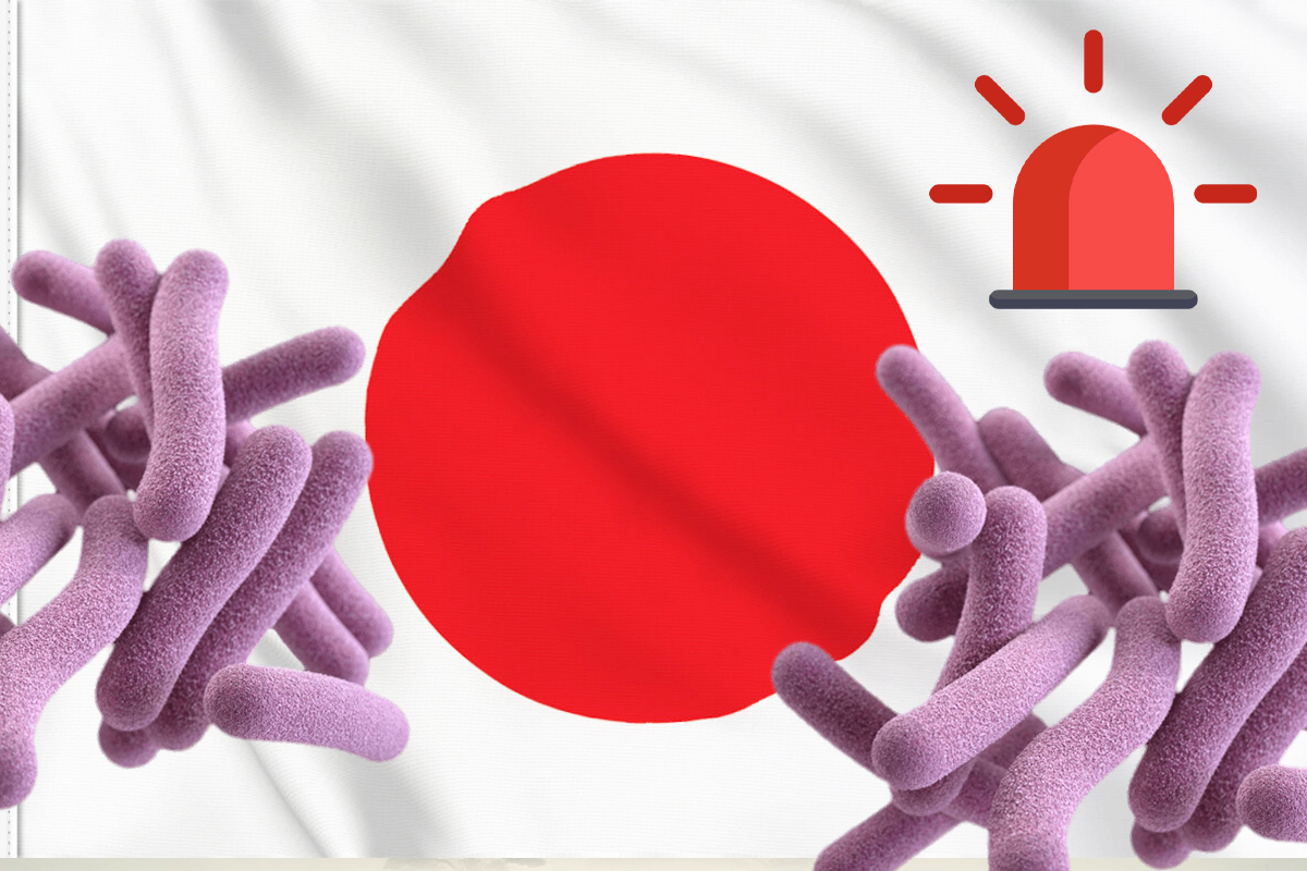 Image illustrant la bacterie mangeuse de chair.