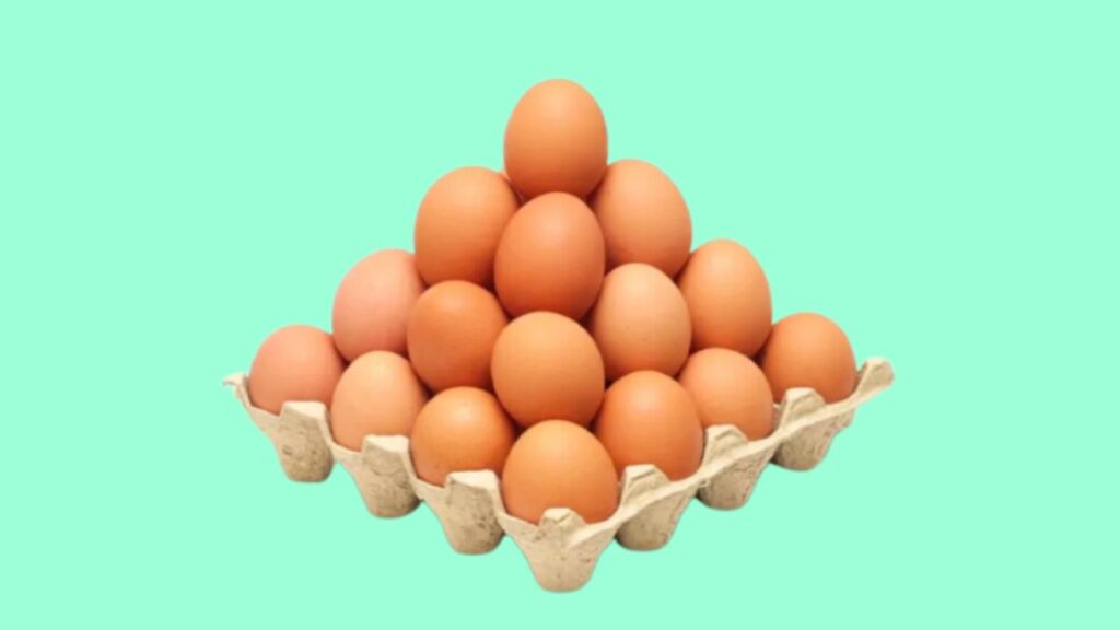 test œufs