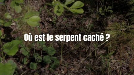 test serpent (1)