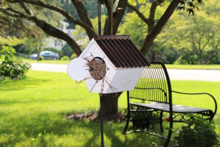 Un nichoir à oiseaux placé dans un jardin.