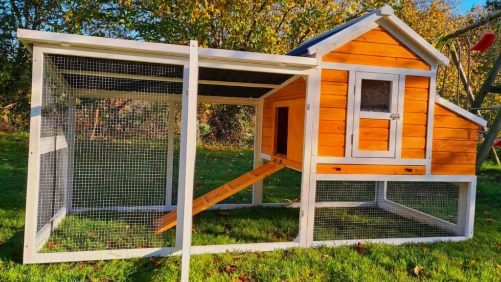 poulailler ou enclos à poule de jardin