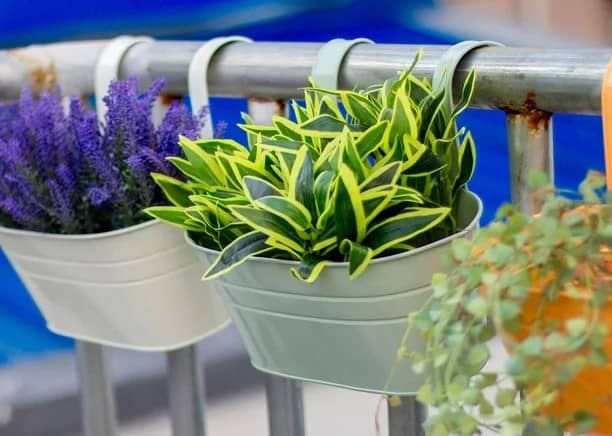 jardinières suspendues à un balcon