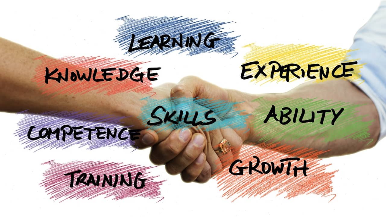 skills bilan de compétences