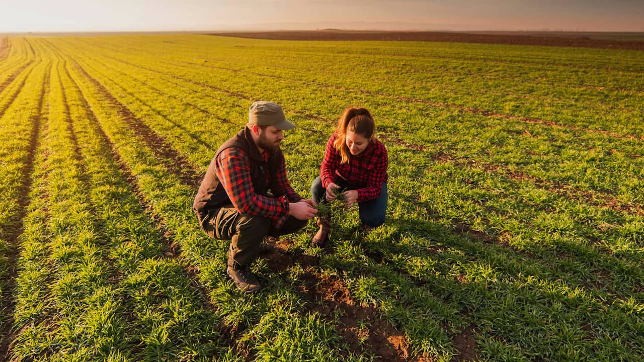 Comment s'installer en tant qu'agriculteur en Normandie ?
