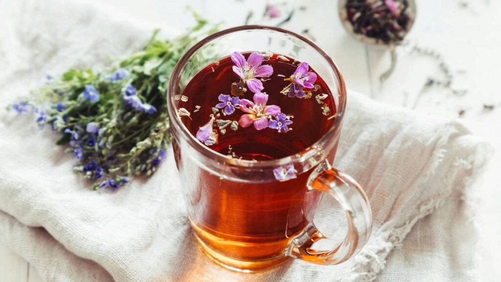 tisane the infusion fleur