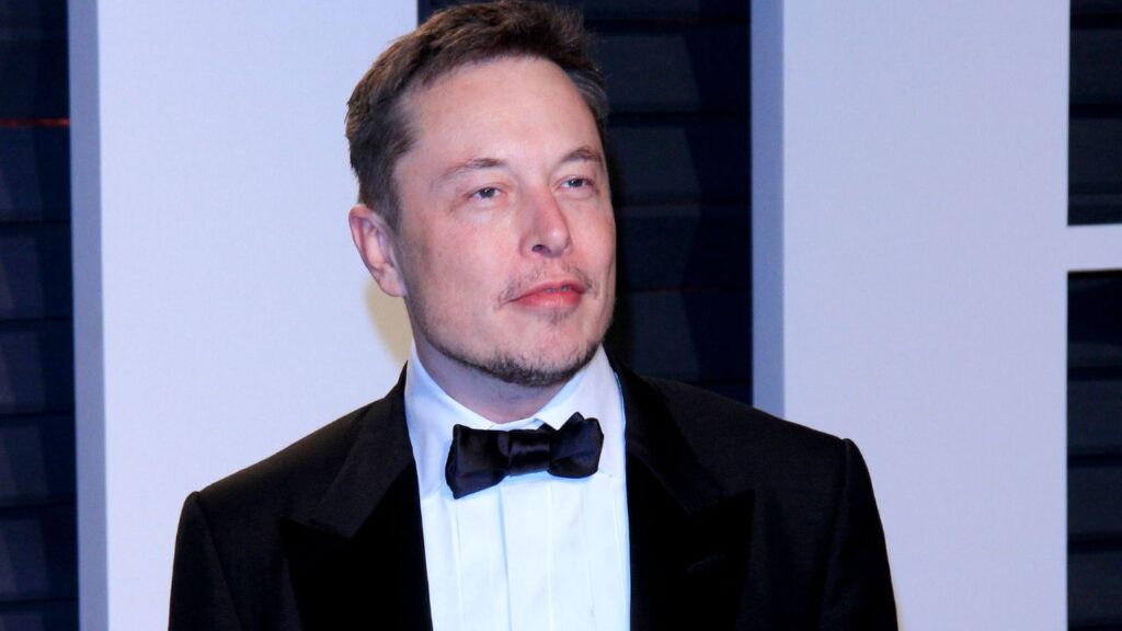 elon musk