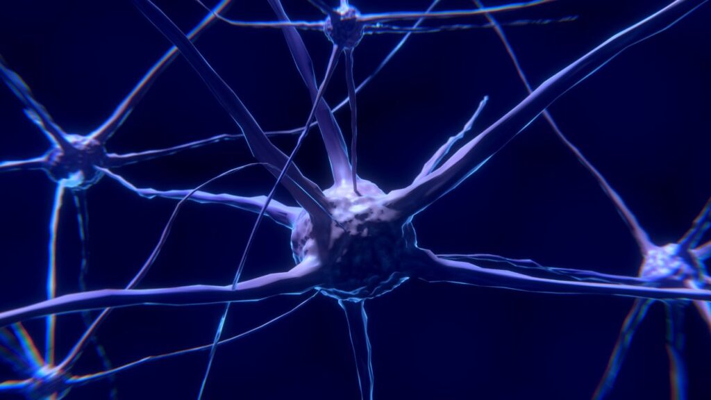 branches science