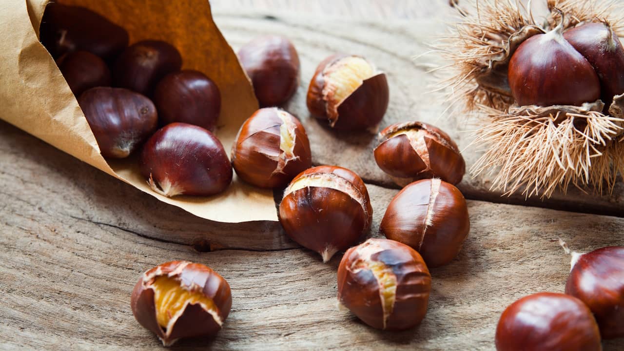 marrons chauds