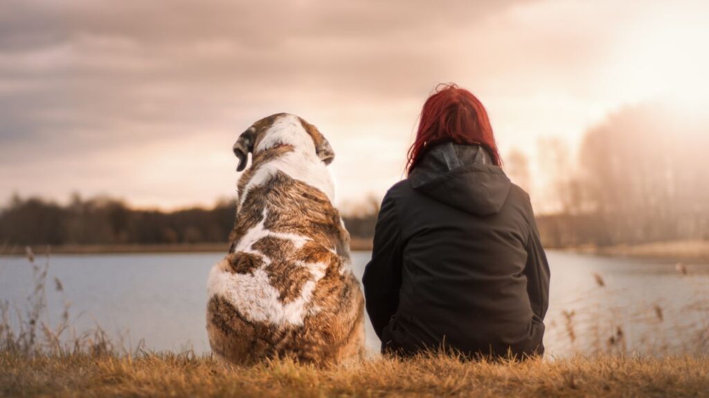 chien humain