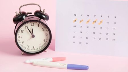 calendrier test grossesse horloge
