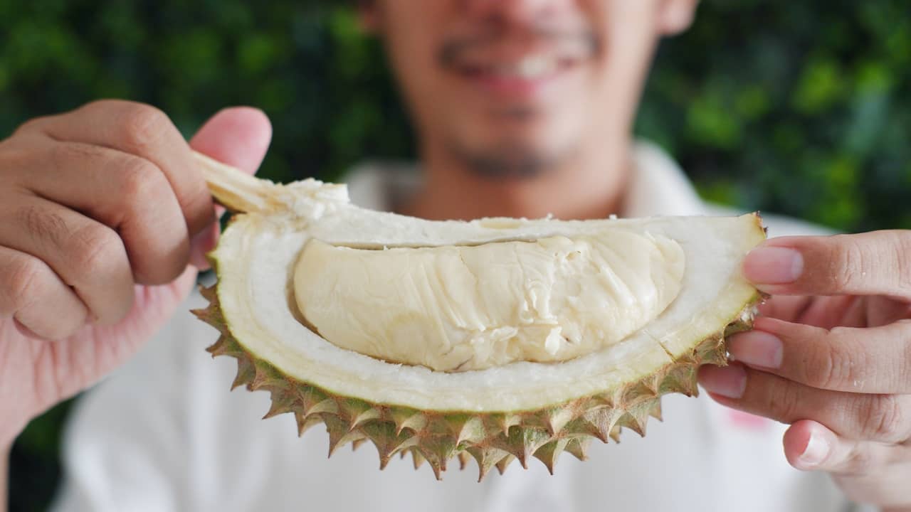 durian fruit