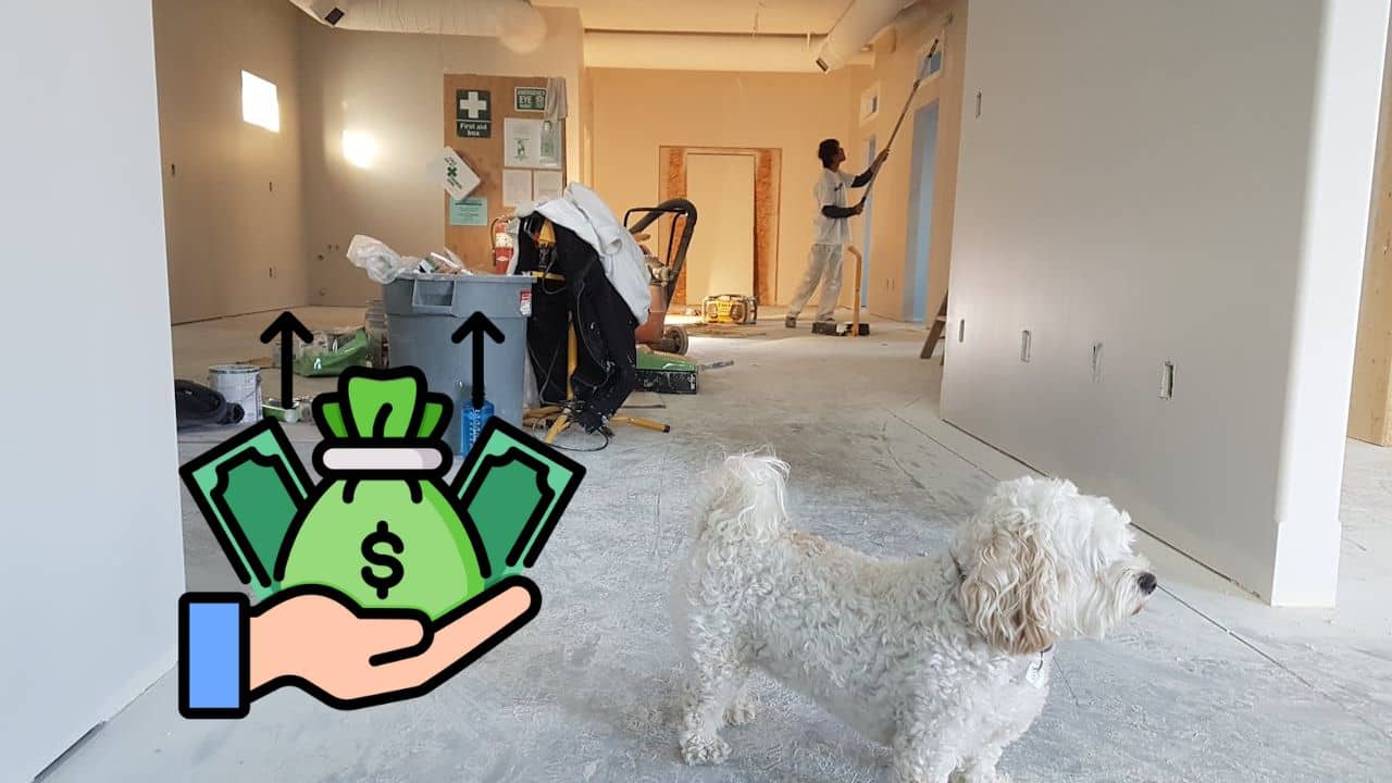 rénovation-et-plus-value (1) (1)