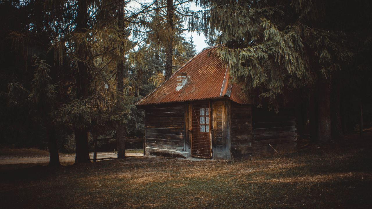 acheter foret maison france