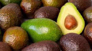 avocat fruit entier ouvert coupe deux