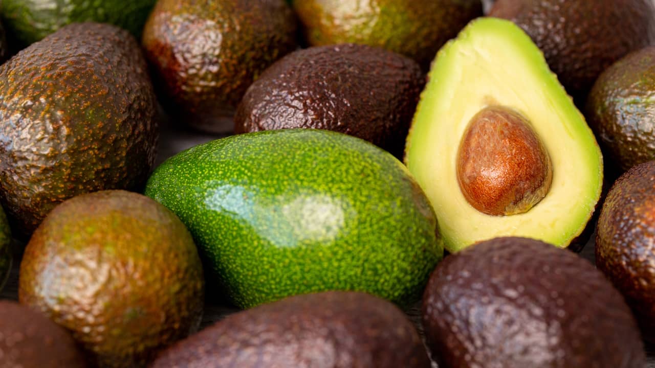 avocat fruit entier ouvert coupe deux