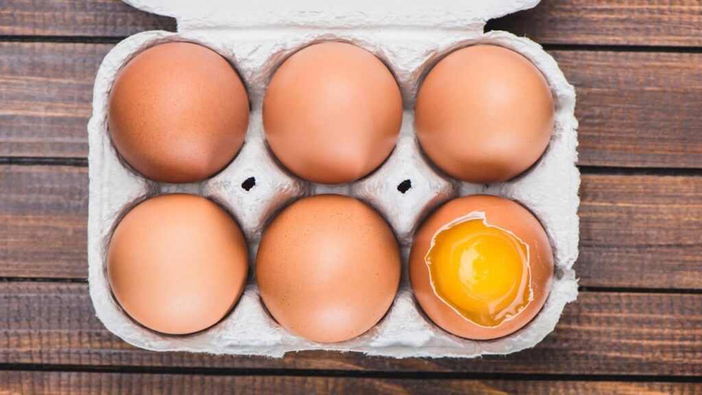 barquette 6 oeufs