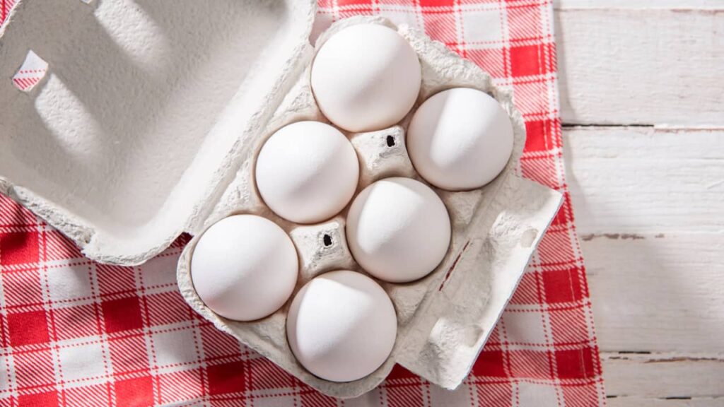 barquette 6 oeufs blancs