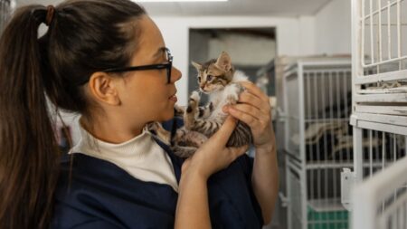 metier soigneur animalier