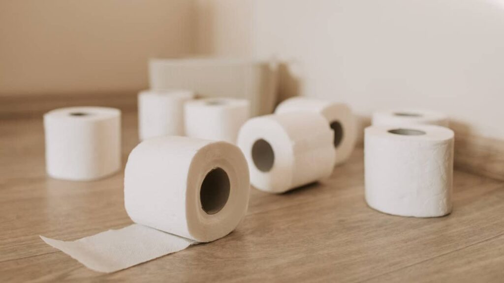 rouleaux-de-papiers-toilettes (1)