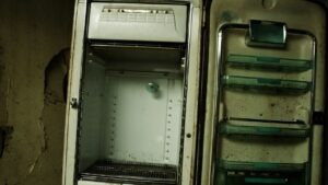 bacteries frigo