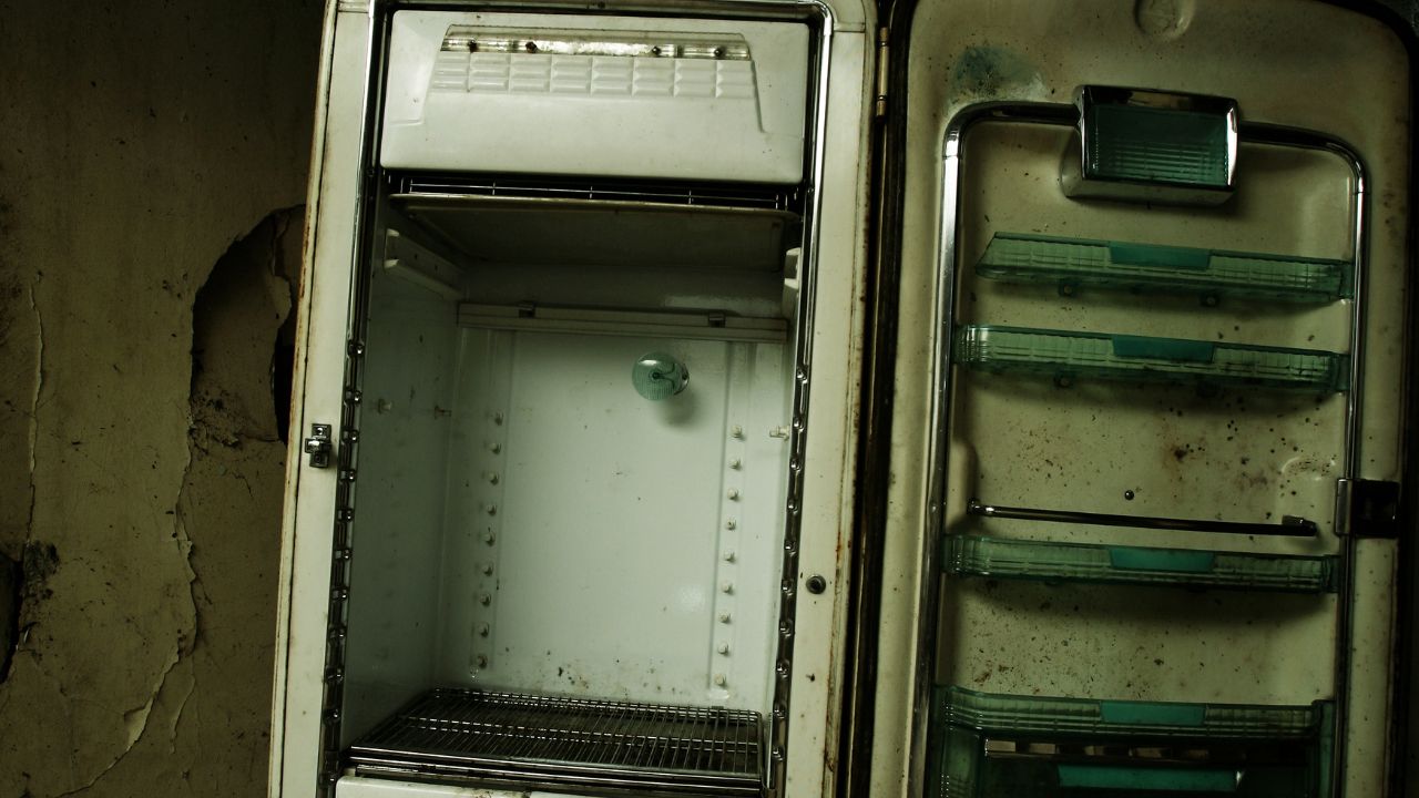 bacteries frigo