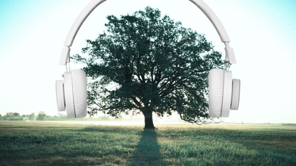 bruit arbres